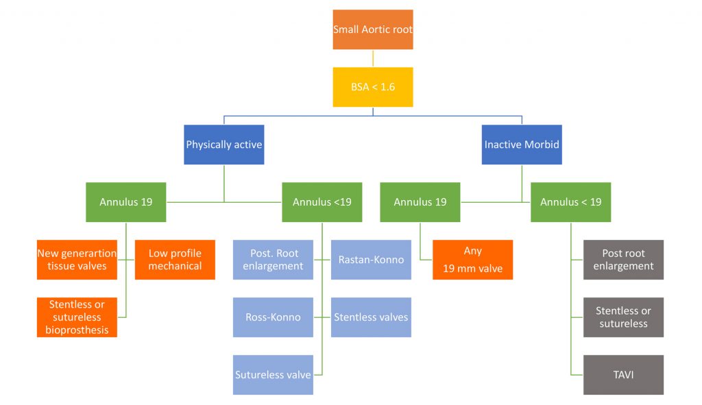 Small aortic annulus flowchart