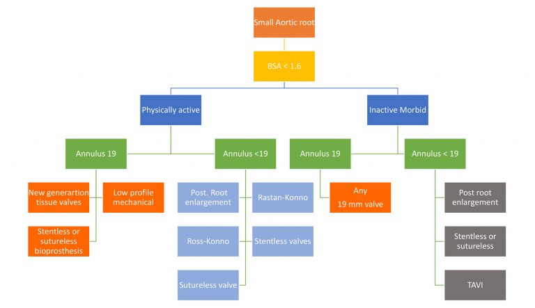 Small aortic annulus flowchart