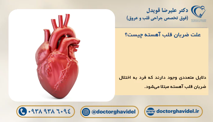 علت ضربان قلب آهسته چیست؟