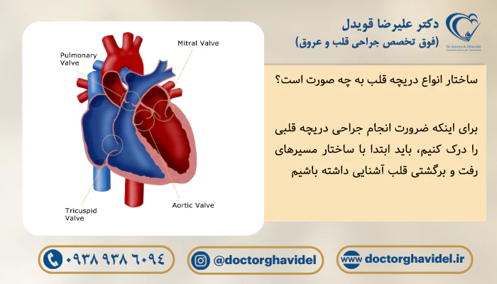 ساختار انواع دریچه قلب به چه صورت است؟