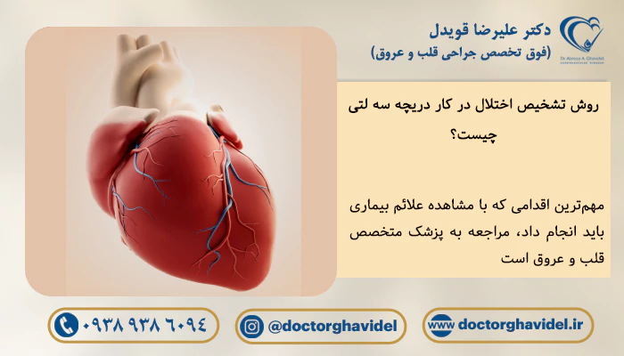 تصویر گرافیکی قلب و عروق قلبی