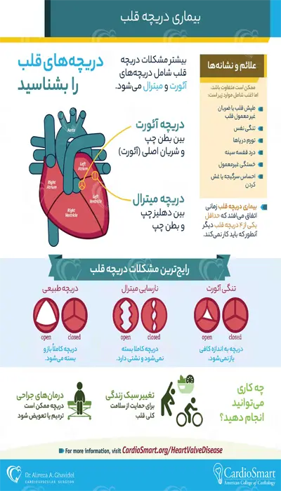 اینفوگرافی بیماری های دریچه قلبی