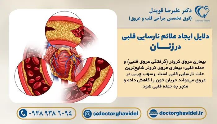 در ایجاد نارسایی قلبی زنان، عواملی چون عفونت‌های خاص، مصرف بیش‌ازحد الکل، استفاده از موادمخدر و برخی داروهای شیمی‌درمانی دخیل هستند.