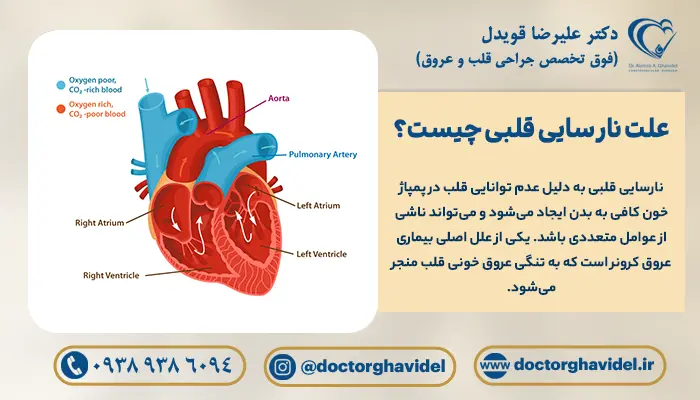 تصویر گرافیکی دریچه قلب برای تشخیص نارسایی قلبی